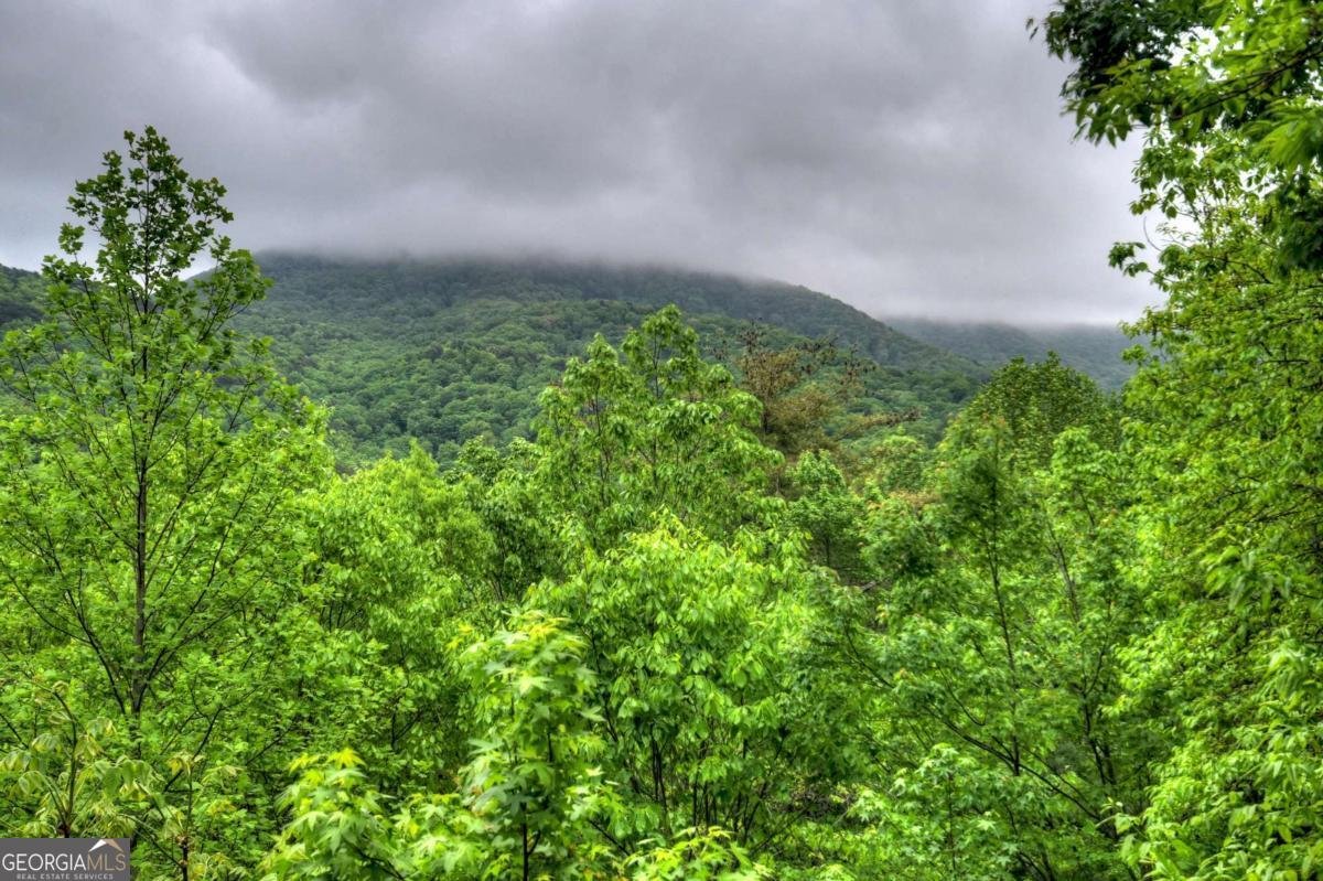 1582 Little Rock Creek Road Cherry Log - Photo 28