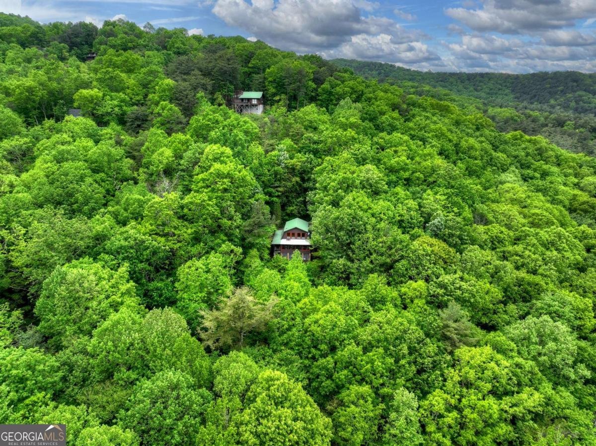 1582 Little Rock Creek Road Cherry Log - Photo 52
