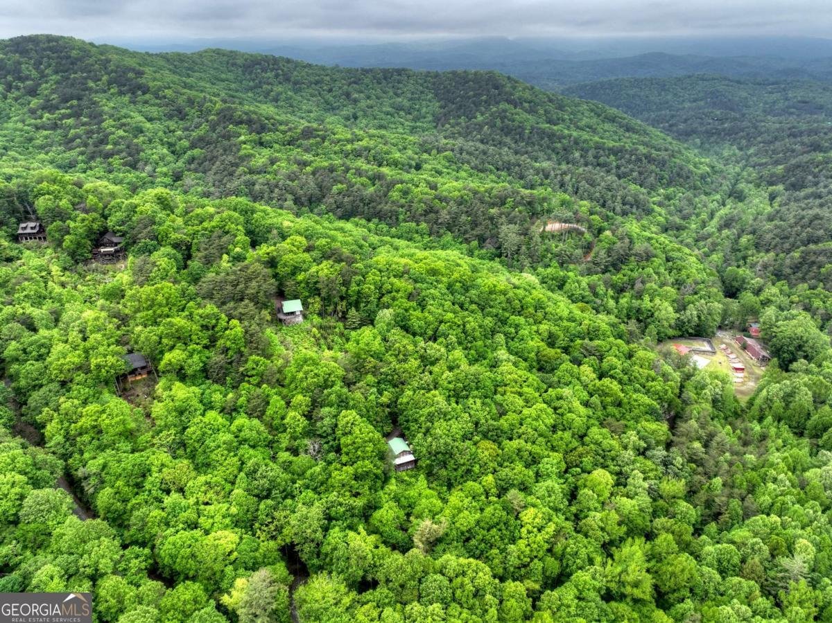 1582 Little Rock Creek Road Cherry Log - Photo 54