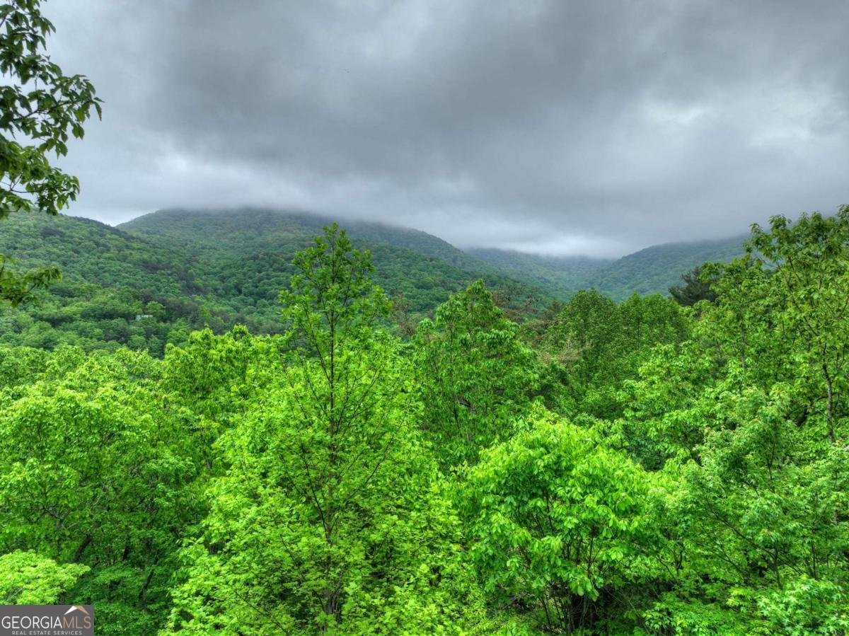 1582 Little Rock Creek Road Cherry Log - Photo 6