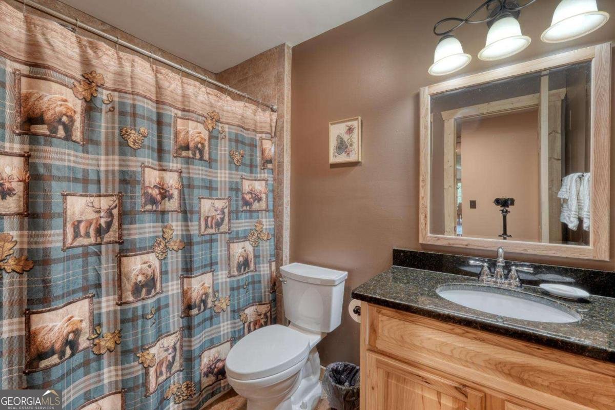 366 Upper Fox Trail Blairsville - Photo 33