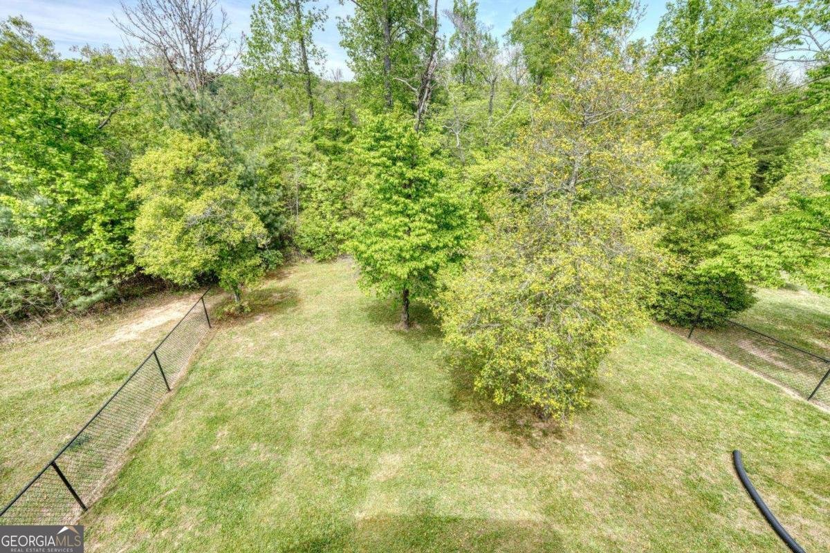 366 Upper Fox Trail Blairsville - Photo 49
