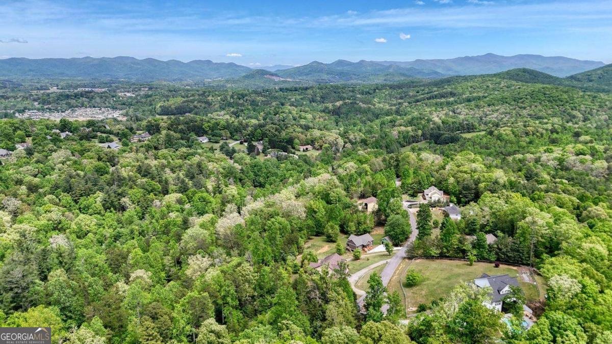 366 Upper Fox Trail Blairsville - Photo 59