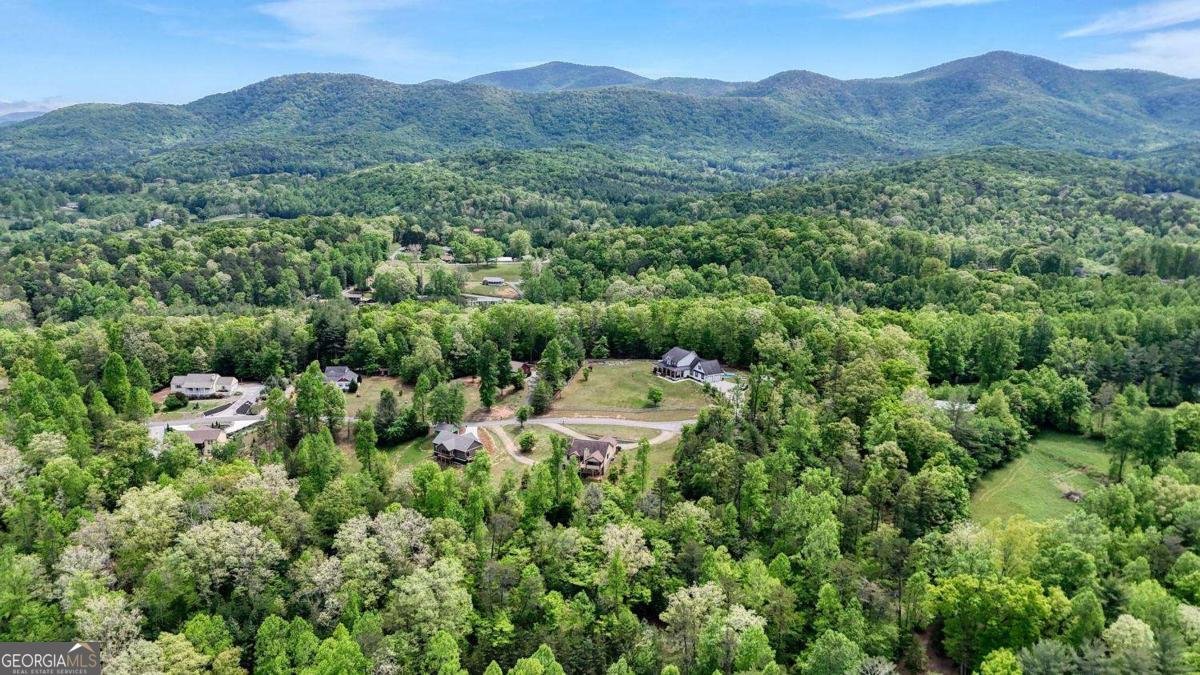 366 Upper Fox Trail Blairsville - Photo 60