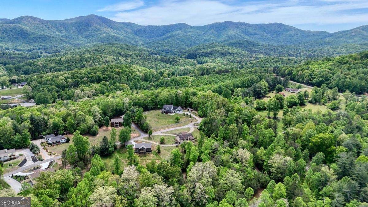 366 Upper Fox Trail Blairsville - Photo 61