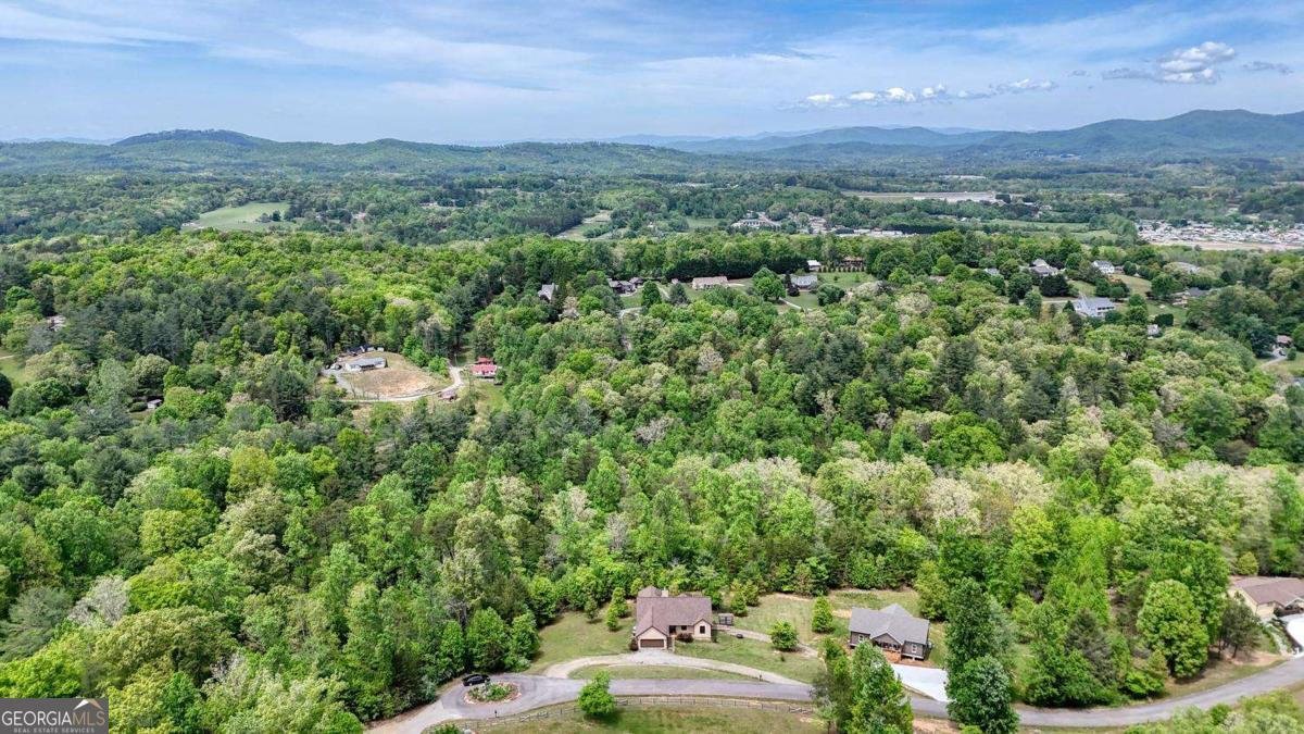 366 Upper Fox Trail Blairsville - Photo 62