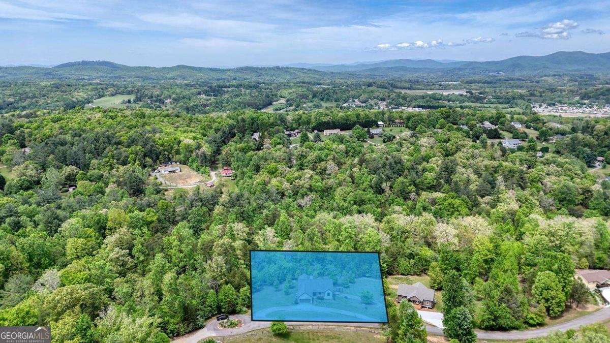 366 Upper Fox Trail Blairsville - Photo 63