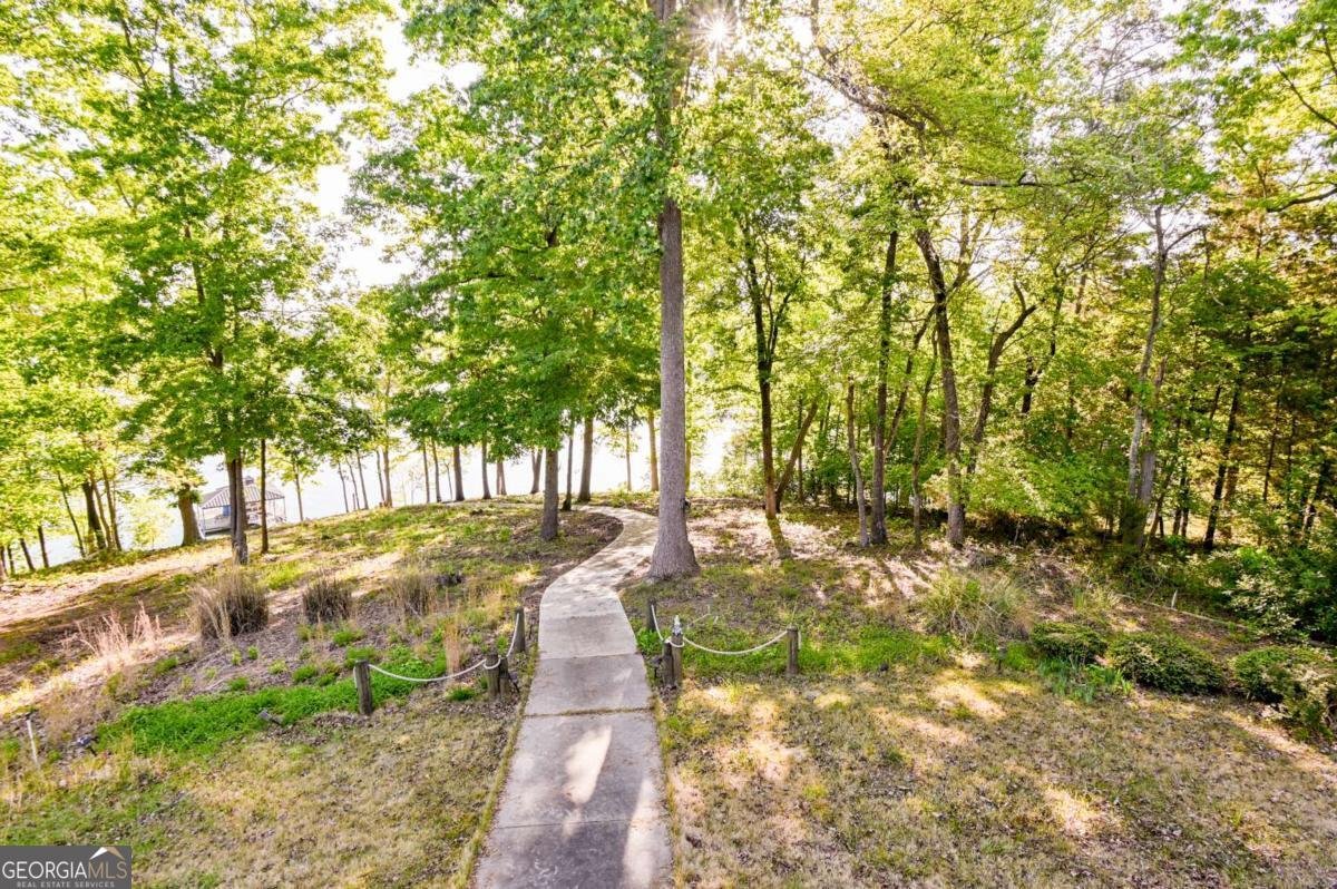 194 Sugar Cane Drive Hartwell - Photo 48