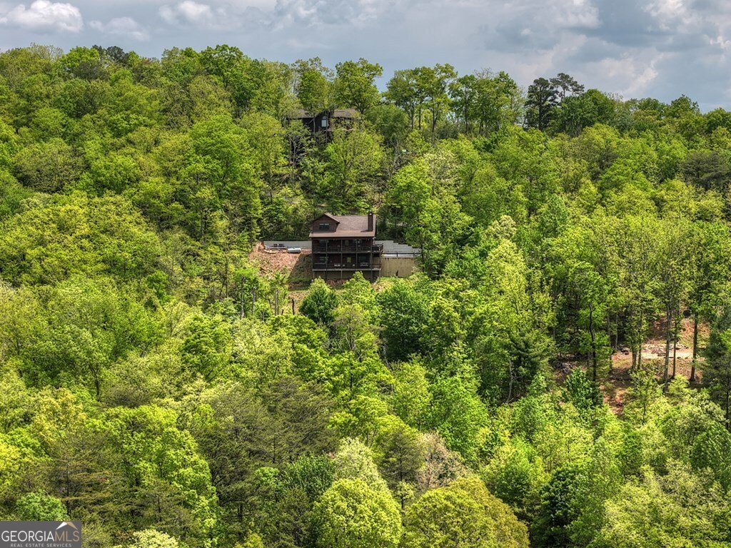 291 Tower Road Mineral Bluff - Photo 10