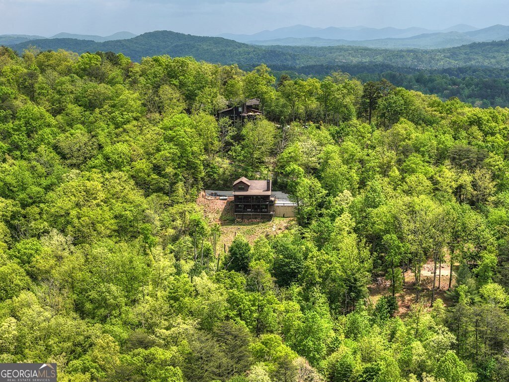 291 Tower Road Mineral Bluff - Photo 11