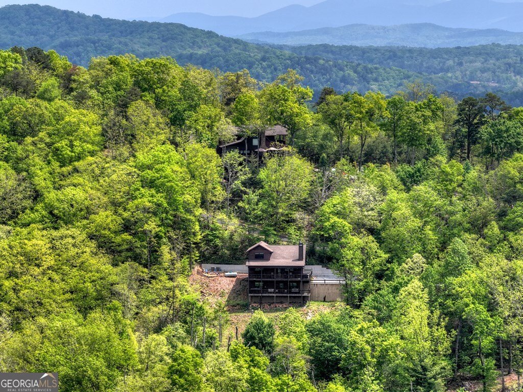 291 Tower Road Mineral Bluff - Photo 12