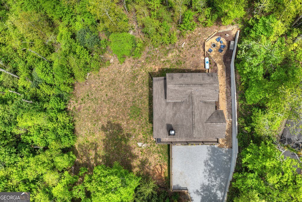 291 Tower Road Mineral Bluff - Photo 13