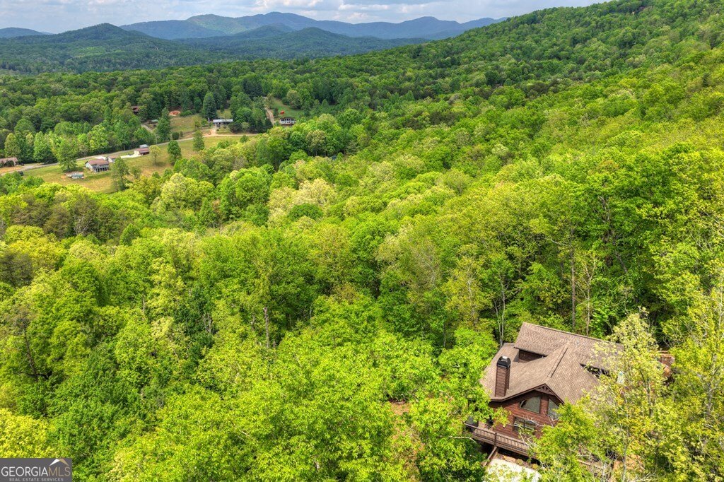 291 Tower Road Mineral Bluff - Photo 14