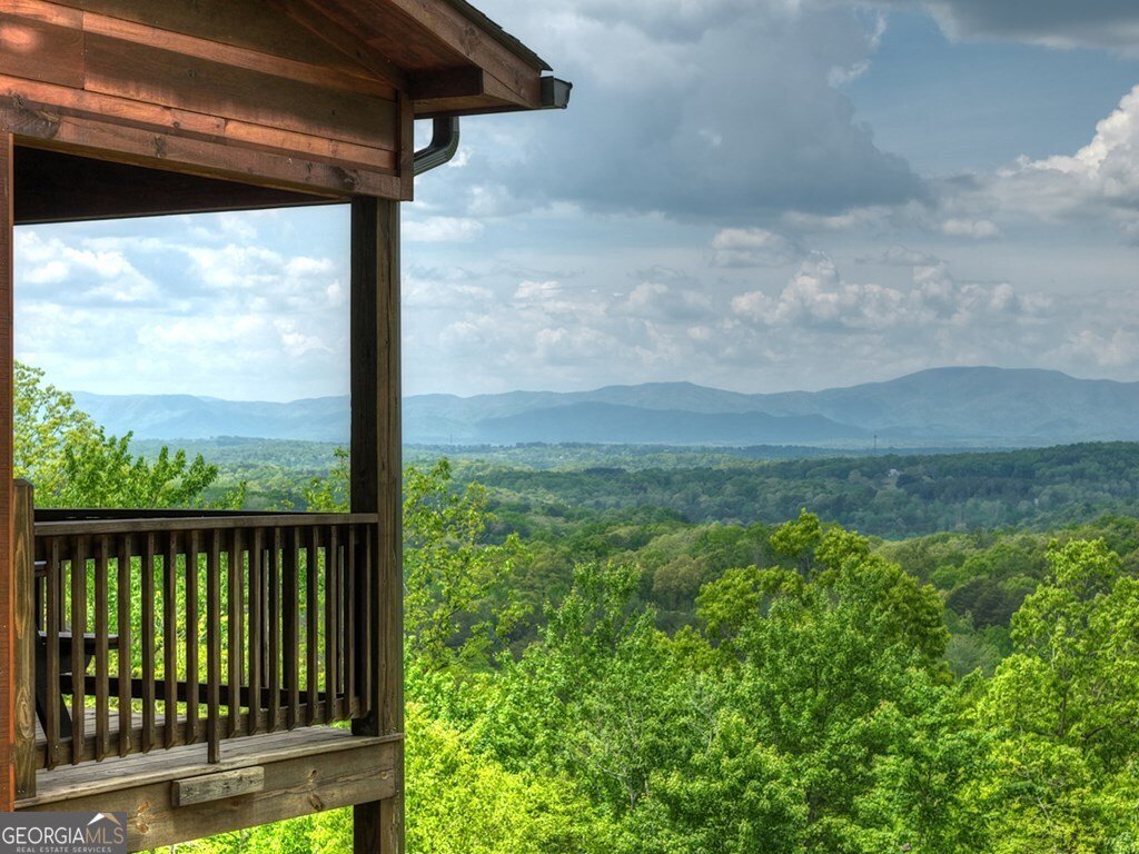 291 Tower Road Mineral Bluff - Photo 15