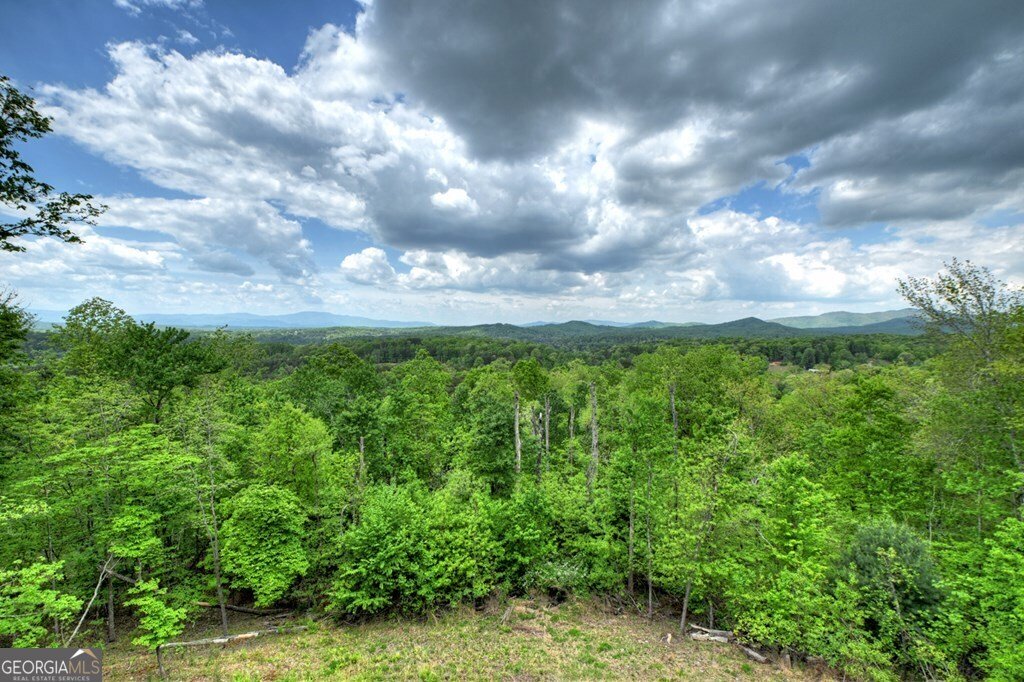 291 Tower Road Mineral Bluff - Photo 22