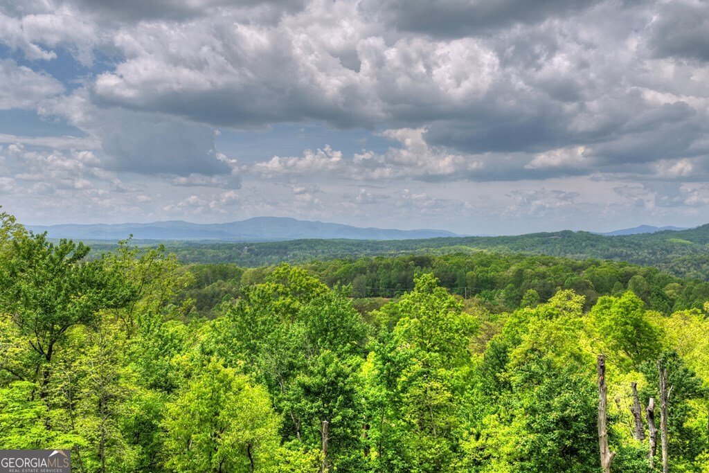 291 Tower Road Mineral Bluff - Photo 6