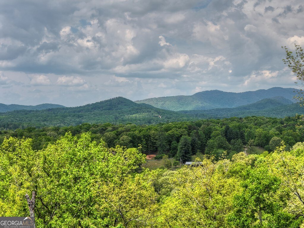 291 Tower Road Mineral Bluff - Photo 8