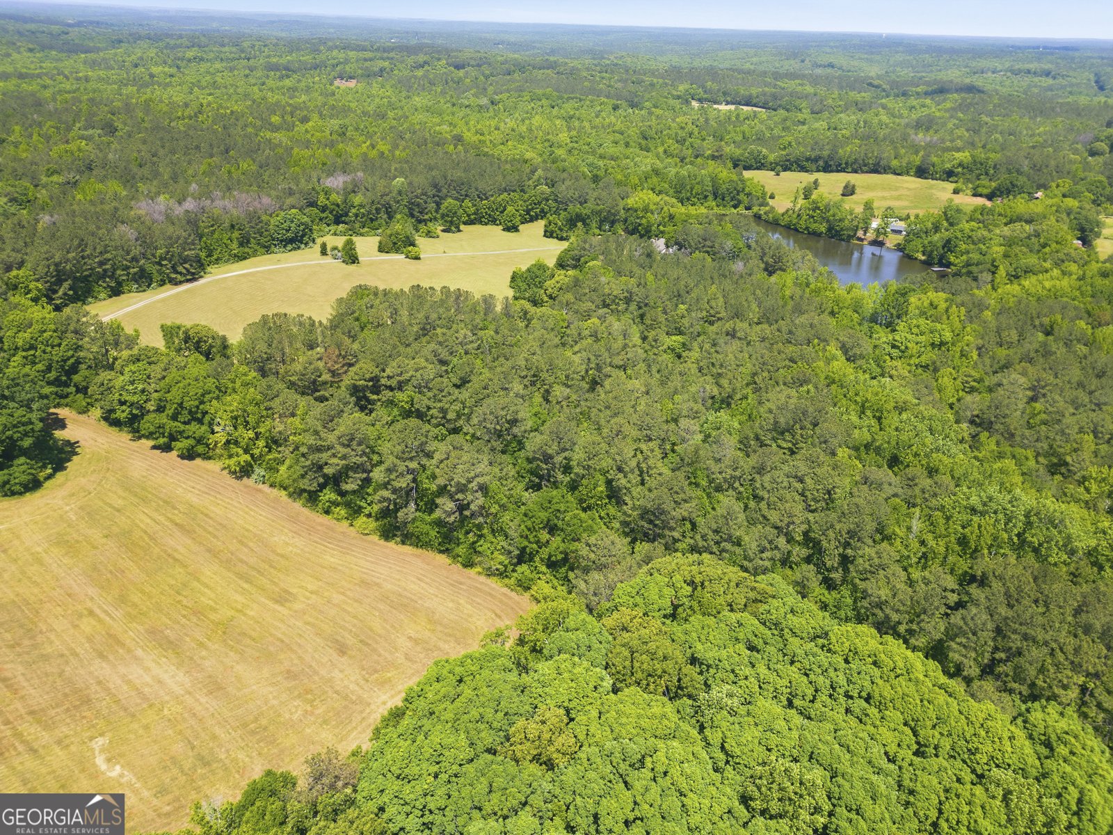2754 Highway 42 Forsyth - Photo 55
