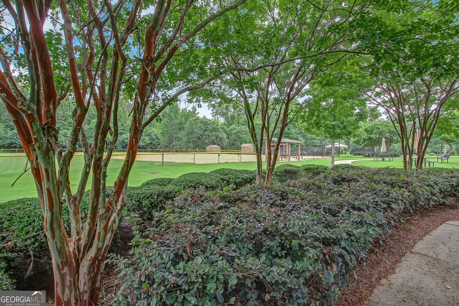 6201 Longleaf Drive Hoschton - Photo 49