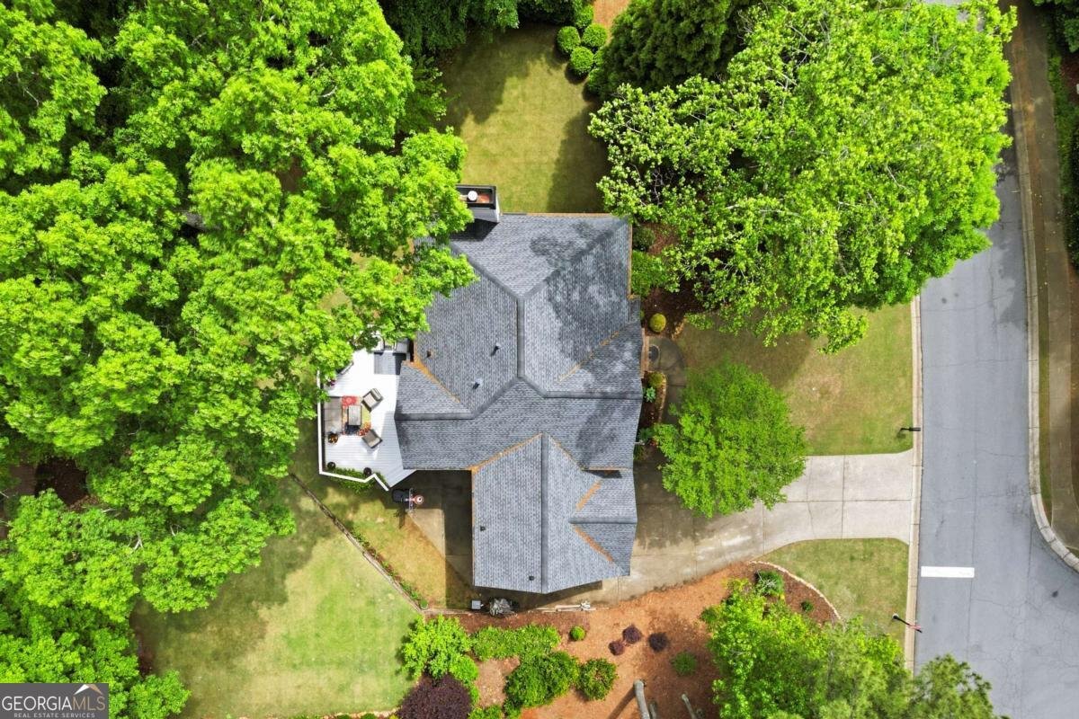 2320 Brookwater Drive Alpharetta - Photo 54