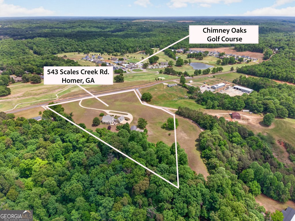 543 Scales Creek Road Homer - Photo 6