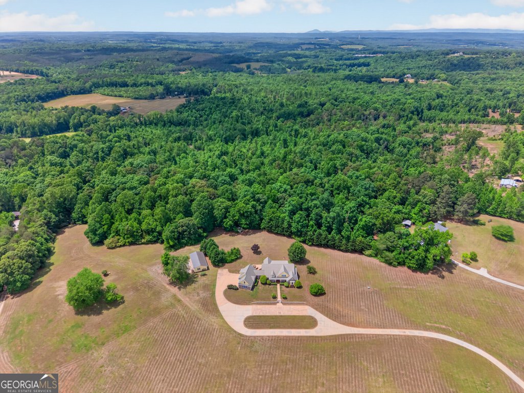 543 Scales Creek Road Homer - Photo 7