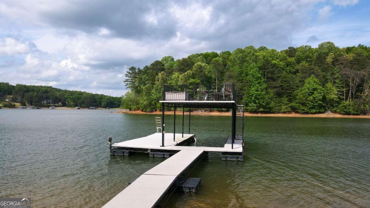 452 Laina Bennett Road Dawsonville - Photo 26
