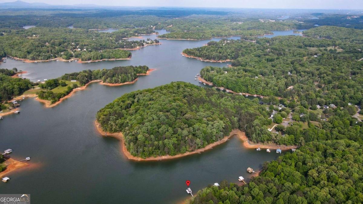452 Laina Bennett Road Dawsonville - Photo 33