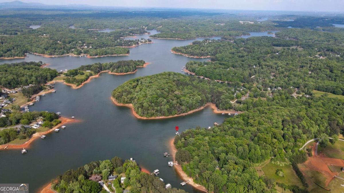 452 Laina Bennett Road Dawsonville - Photo 34