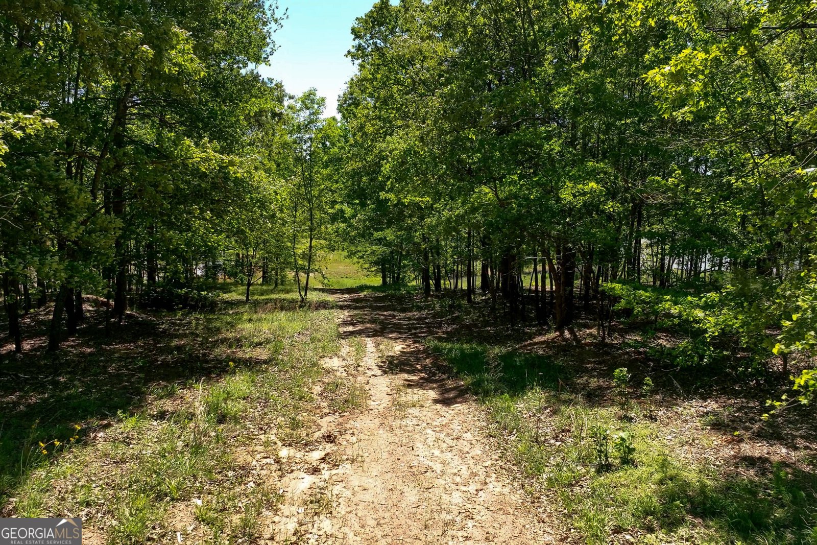 400 Chatuge Drive Hoschton - Photo 49