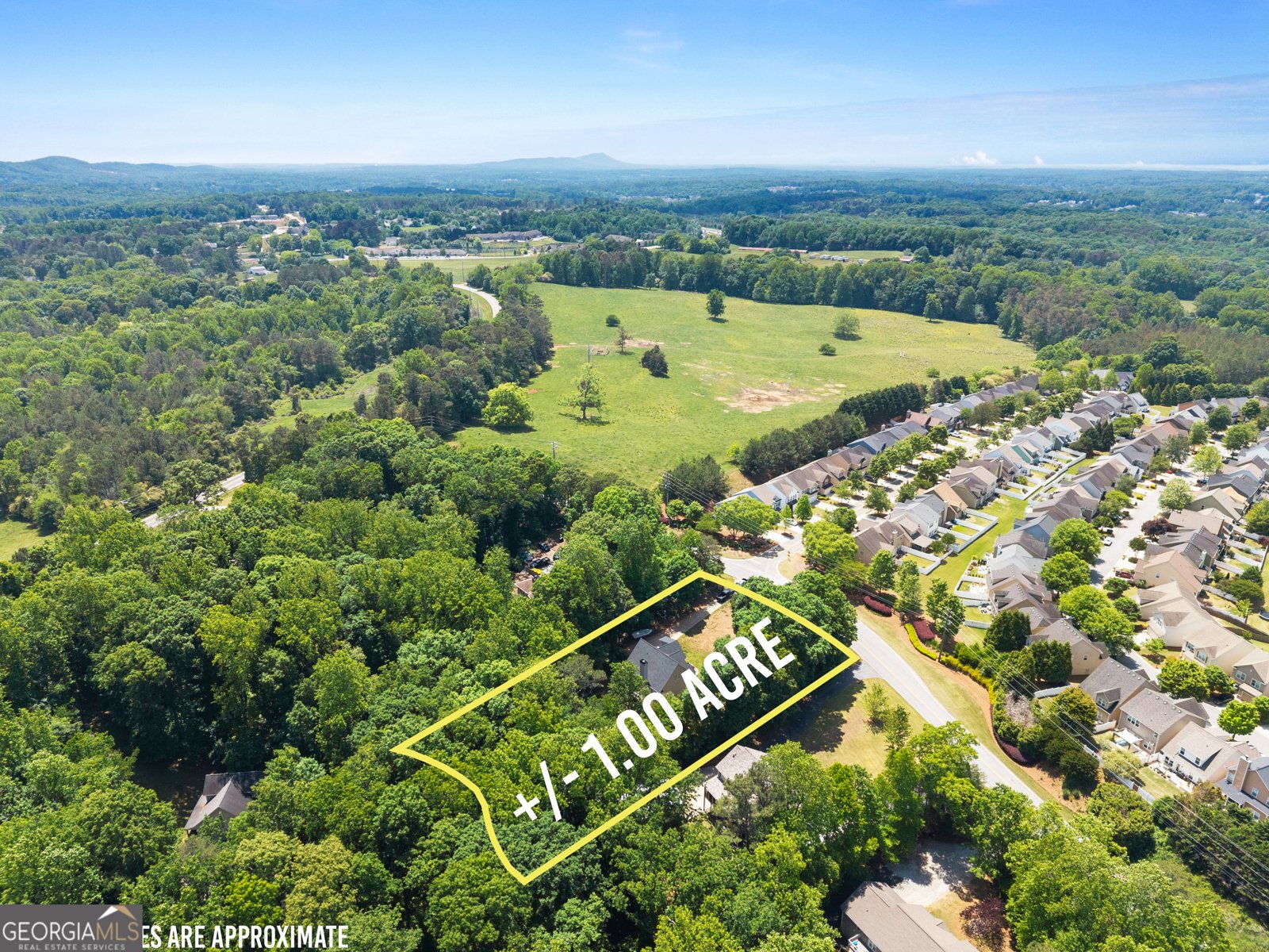 1061 Carlisle Road Dawsonville - Photo 50