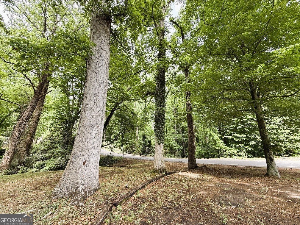 522 Woodland Road Elberton - Photo 26
