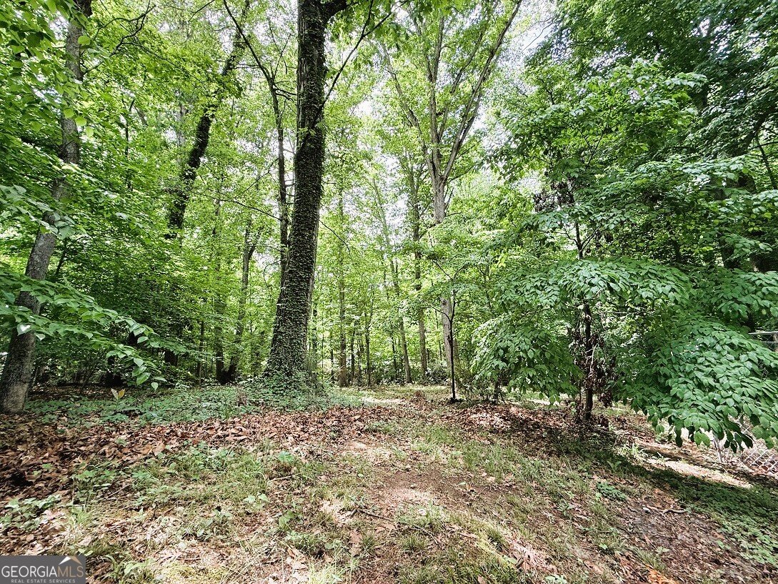 522 Woodland Road Elberton - Photo 28
