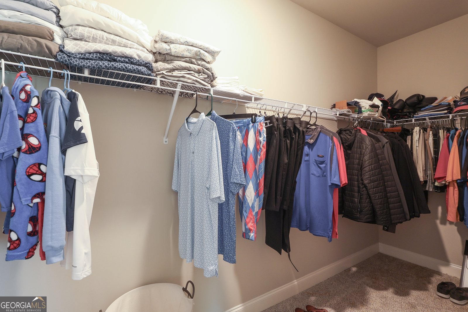 250 Cushing Street Senoia - Photo 22