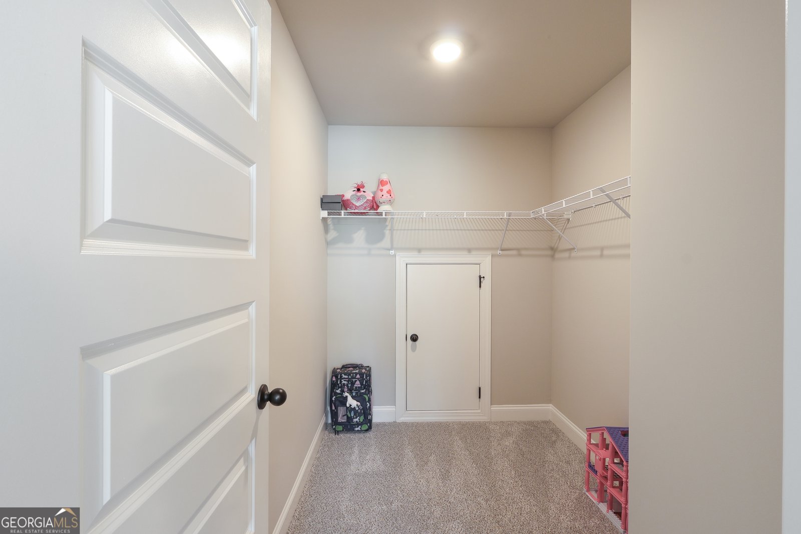 250 Cushing Street Senoia - Photo 27