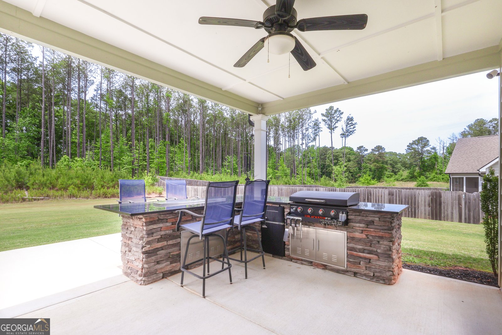 250 Cushing Street Senoia - Photo 32