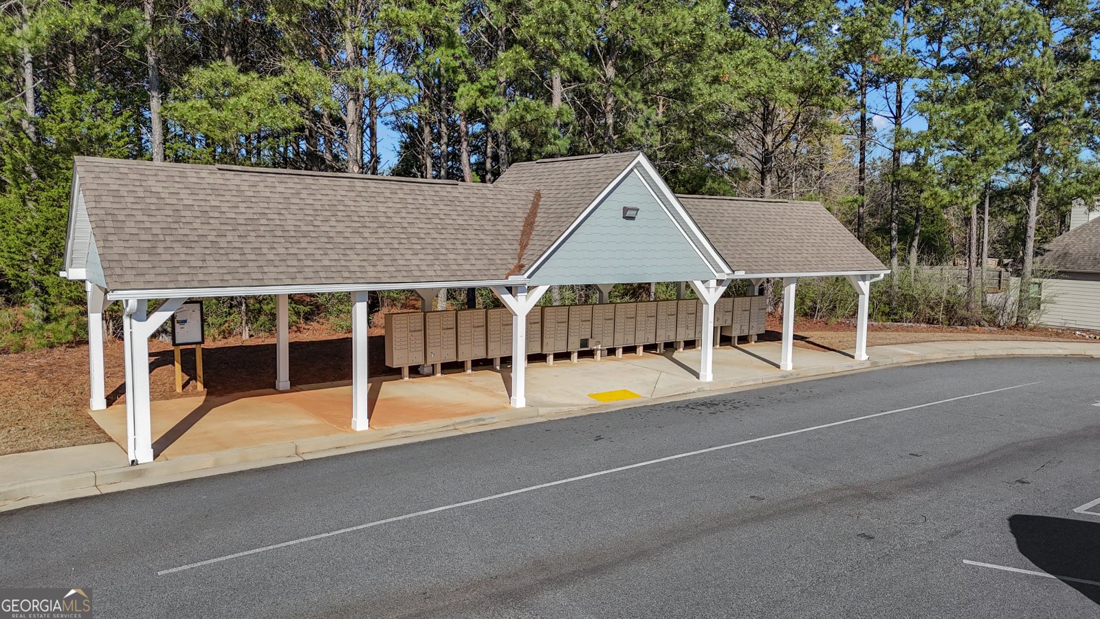 250 Cushing Street Senoia - Photo 47
