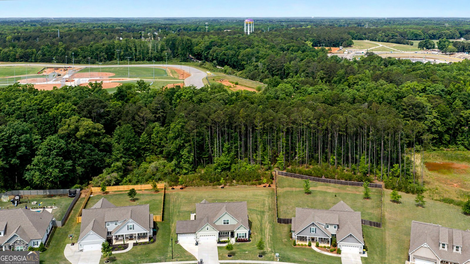 250 Cushing Street Senoia - Photo 48