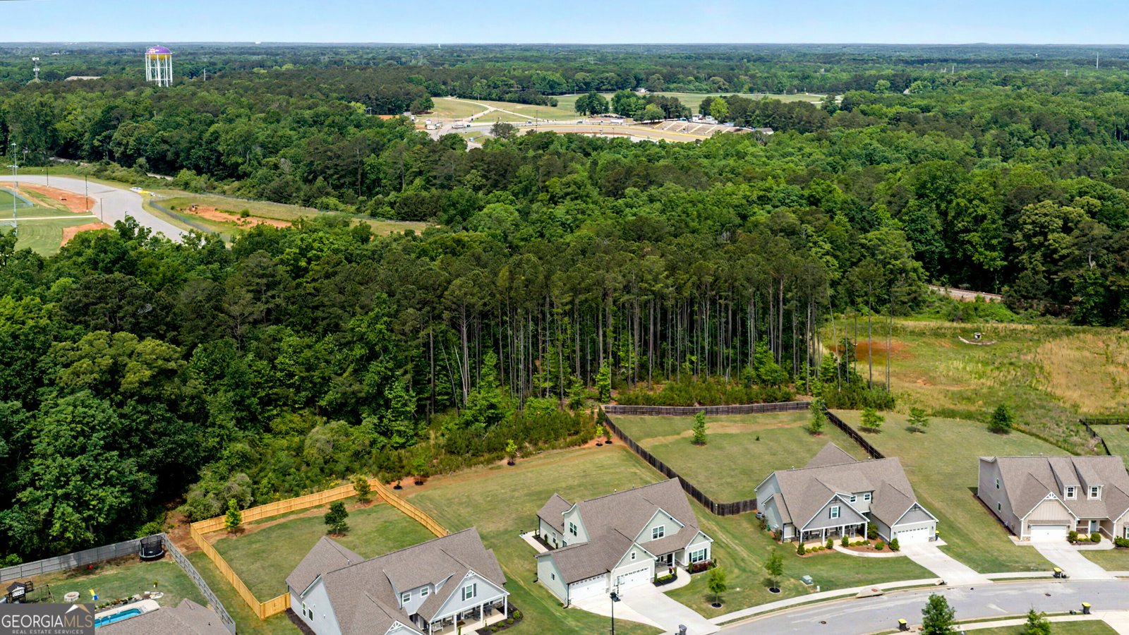 250 Cushing Street Senoia - Photo 52