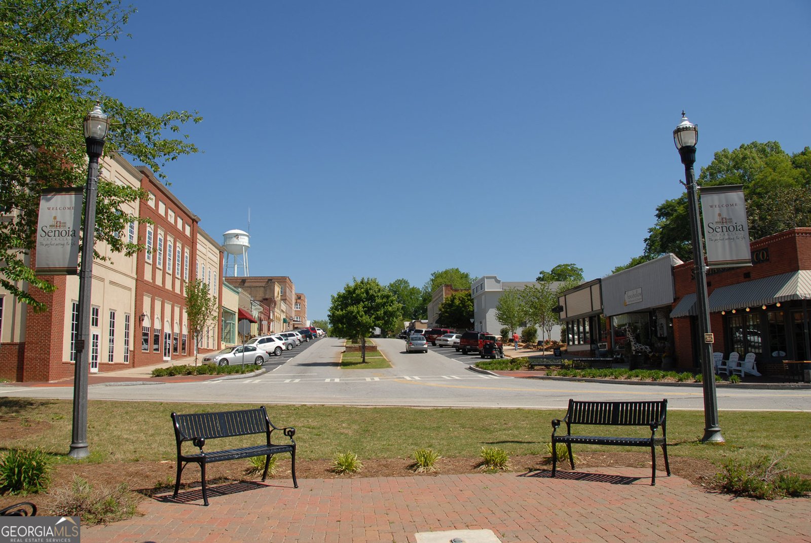 250 Cushing Street Senoia - Photo 57