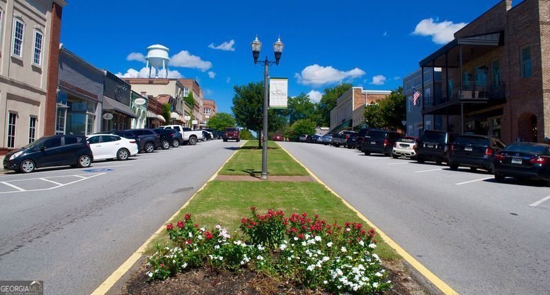 250 Cushing Street Senoia - Photo 58