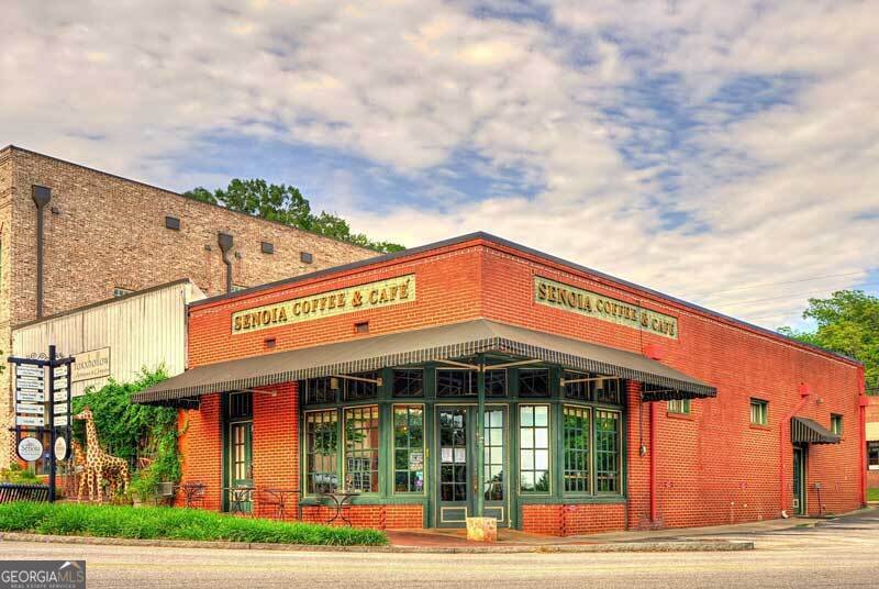 250 Cushing Street Senoia - Photo 59