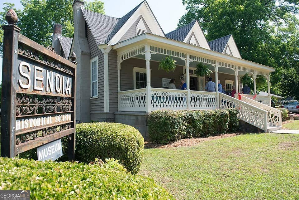 250 Cushing Street Senoia - Photo 60