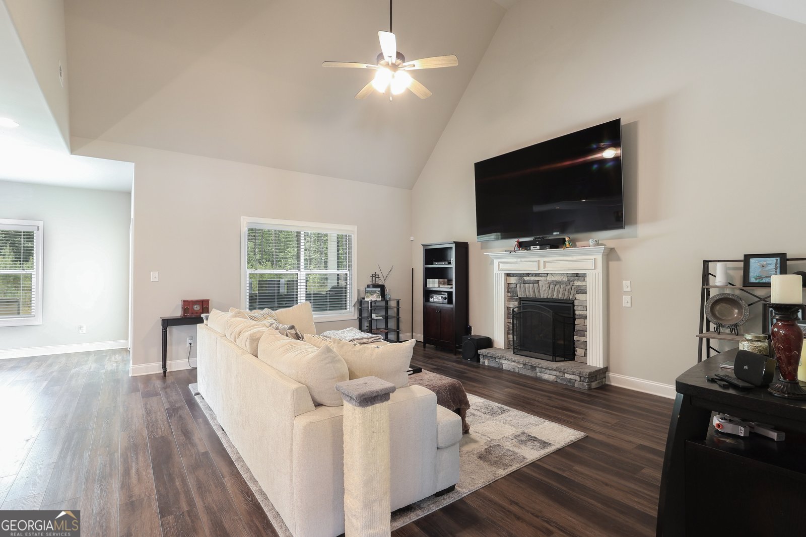 250 Cushing Street Senoia - Photo 8