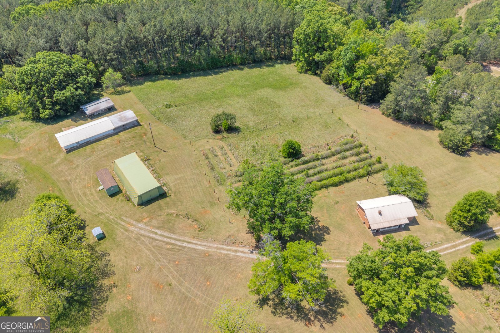 3248 Metasville Road Washington - Photo 14