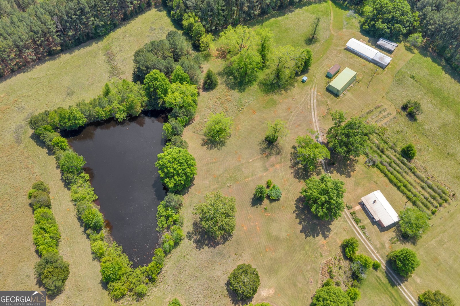 3248 Metasville Road Washington - Photo 8