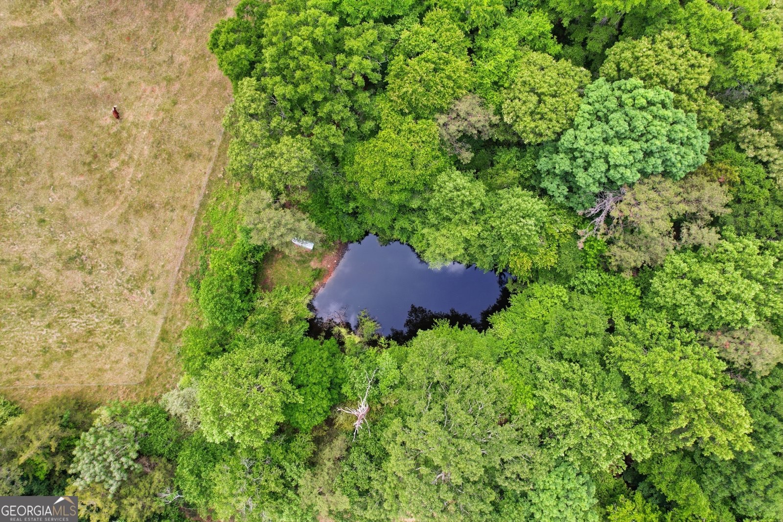 412 Tower Road Martin - Photo 13