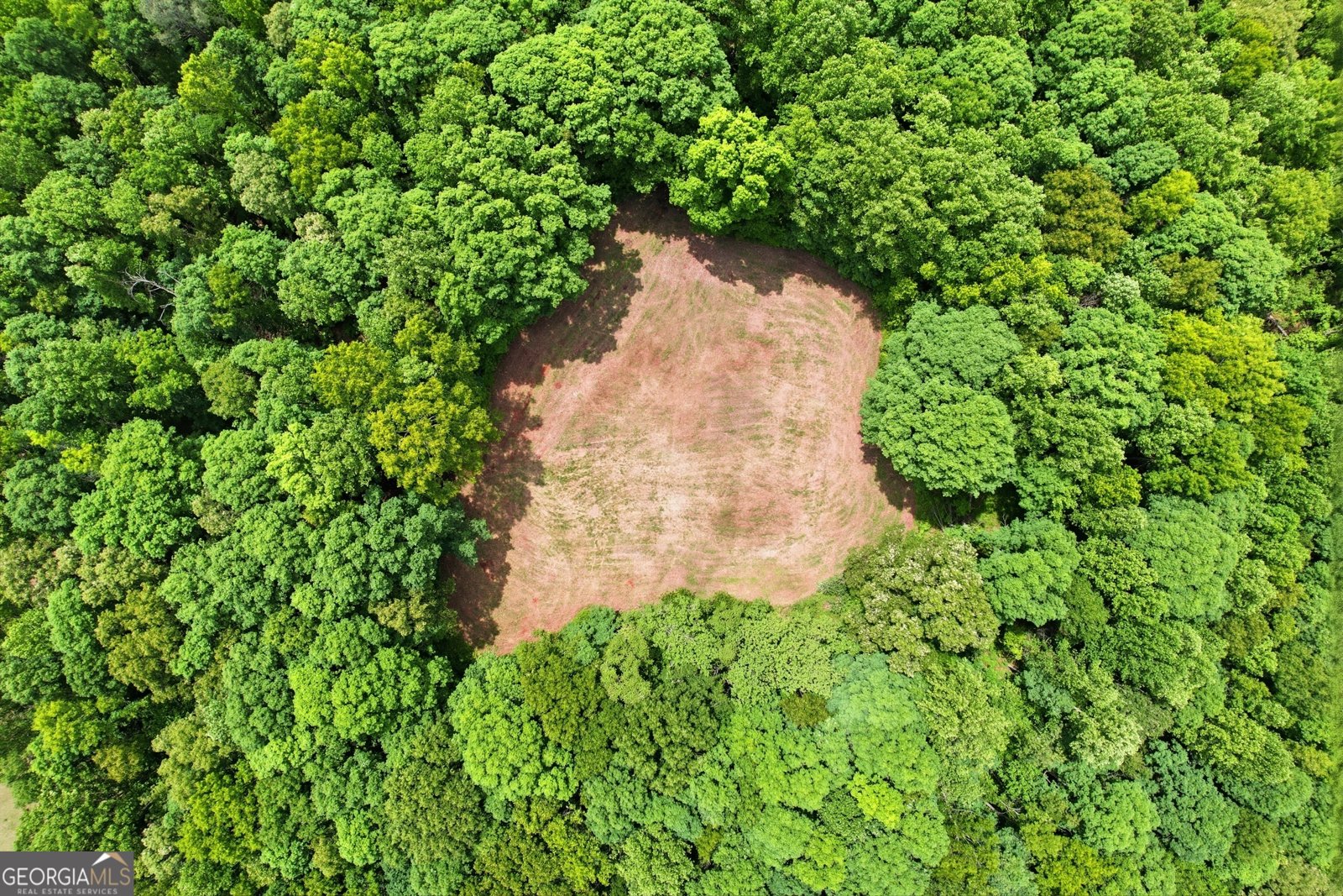 412 Tower Road Martin - Photo 16