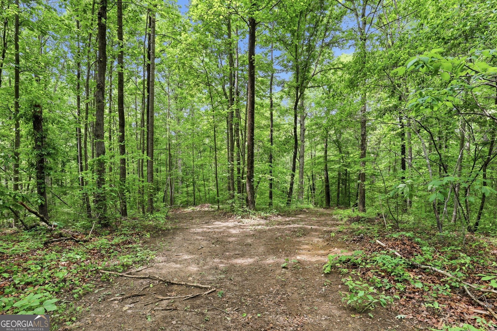412 Tower Road Martin - Photo 17