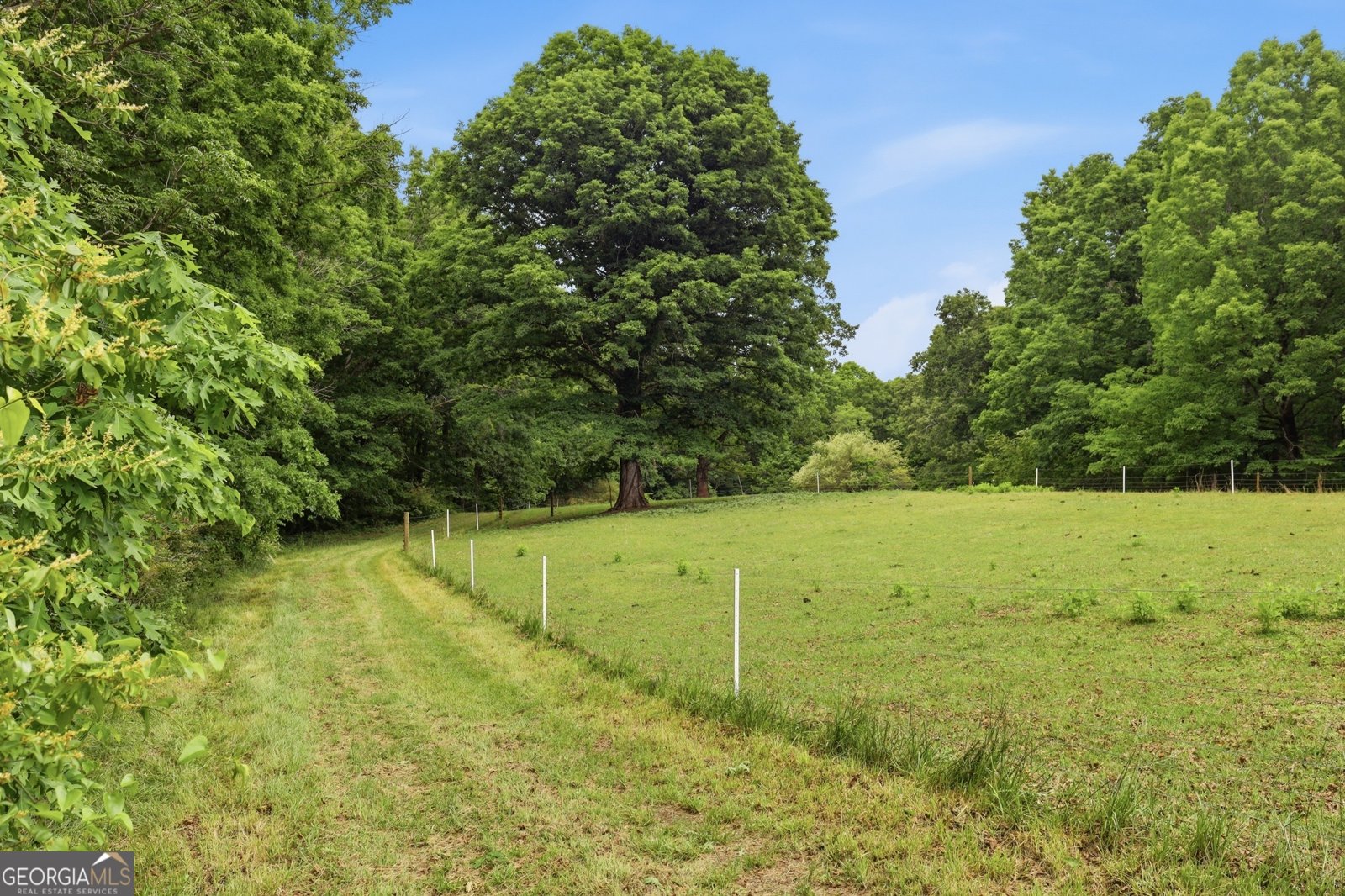 412 Tower Road Martin - Photo 23
